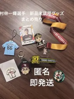 Item thumbnail for item 3c78b835-1080-4e33-b4e2-5a53de020519