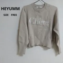 ・【HEYUMM】ロゴ刺繍 ニットプルオーバー　フリーサイズ　ショート丈のサムネイル
