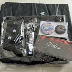 【新品未使用】 スキズ アプグレ特典　2023 抜けなし