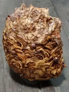 招福、金運、引き寄せ】「神の器」と「呪物の器」になりうる藁人形