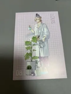 BROTHERS CONFLICT ブラコン アニメイトカフェ 特典ポストカード