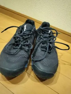 Item thumbnail for item 1ea86d61-493e-4250-b069-9088148dc666