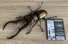 メタリフェル　大中小セット　標本 メタリフェル 大中小セット 標本 2025年最新】メタリフェル 標本