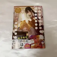 ある日、お姫様になってしまった件について 12