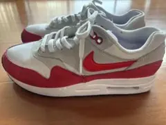 Nike ジュニアシューズ　エアマックス　25センチ