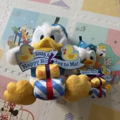 東京ディズニーランド ドナルド パルパルーザ ぬいぐるみ ぬいば バースデー