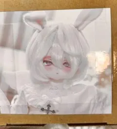ddh-01 カスタムヘッド ディーラー様製 セミホワイト