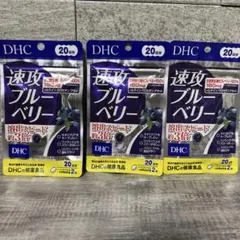 6袋セット】DHC速攻ブルーベリー20日分（40粒入）期限は最短で28年10月 