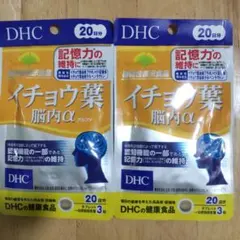 DHC イチョウ葉脳内α 20日分 ×2パックのサムネイル