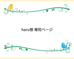 haru様 専用ページ