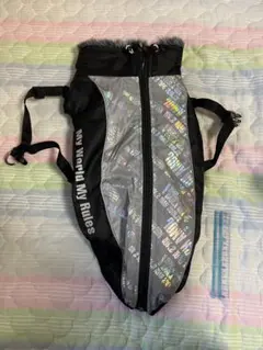 Item thumbnail for item a9ab0c0e-fd11-4183-b71e-12eb8f327147