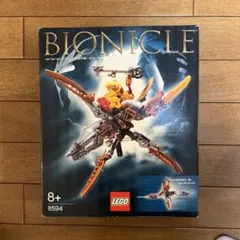LEGO ジャンボフィグ + ジャンボブロック 巨大サイズ イベント購入