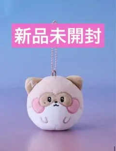公式　zeroni ぬいぐるみ　キーリング　星　ジウン 公式 zeroni ぬいぐるみ キーリング 星 ジウン - メルカリ