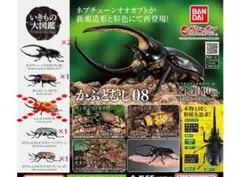いきもの大図鑑 かぶとむし08 5個