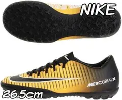 Item thumbnail for item e91c3f9a-1a0f-4ff6-a246-3e5de177cd1f