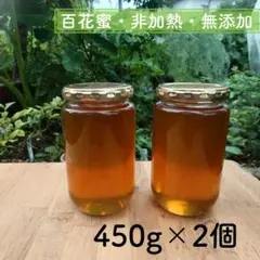 山口県岩国産 百花蜜 450g×2個［非加熱・完全無添加］国産 養蜂 天然 純粋のサムネイル