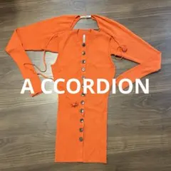 A CCORDION アコーディオン リブニット 長袖 アンサンブルのサムネイル