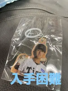阪神タイガース、めじるし オーロラチャーム 小幡竜平