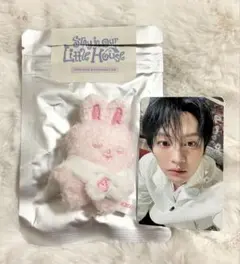 2026年最新】StrayKids リノ ぬいぐるみの人気アイテム - メルカリ
