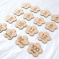 Item thumbnail for item 50802b7d-1378-4b15-bff0-092d02c7440a