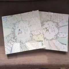 スクラップブッキングIt's a Boy! & It's a Girl!ペーパー