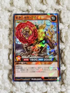 ボタニカル・ライオ　遊戯王