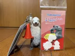 7月新商品 鳥羽水族館 キーホルダー 2個 ラッコ キラちゃん メイちゃん