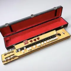 2025年最新】菊八重 F28の人気アイテム - メルカリ