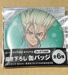 Dr.STONE ドクターストーン　千空　ドクスト　ローソン100