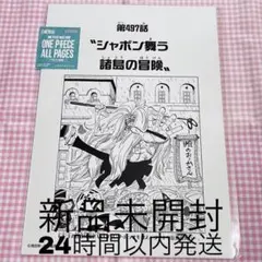 ONE PIECE ALL PAGES シャボンディ諸島編 第497話のサムネイル