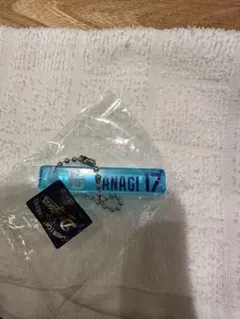 Item thumbnail for item 84014eaa-28a6-4bfb-9bd9-2d10eee14f65