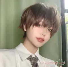 【最終値下げ】フルウイッグ　メンズ　ブラウン　ショート　耐熱　コスプレ　男女兼用