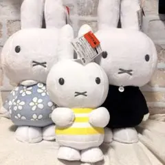 Item thumbnail for item e2ea5114-c20b-468a-9cc2-8bff4c420bef