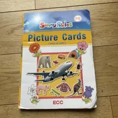 Sunny Skies Picture Cards ECC幼児クラス カードのサムネイル