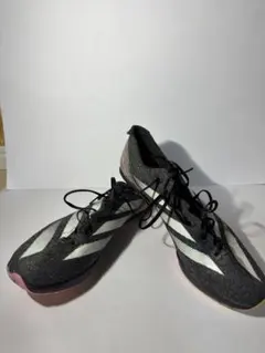 Item thumbnail for item 12bb527c-c818-49f1-b4dc-f9c429301593