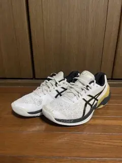 アシックス スカイエリートFF
