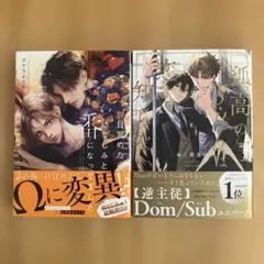 目覚めたら幼なじみと番になってました　孤高のSubは恋を知らない