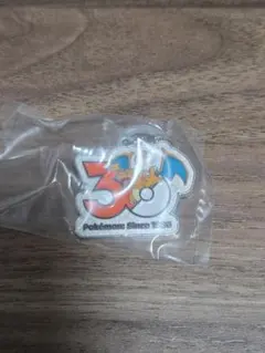 ポケモン 30周年 メタルチャームマスコット リザードン ガチャガチャ