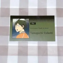 ハイキュー 山口忠 メモリーズカードコレクション