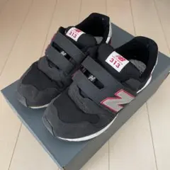 21㎝　ニューバランス313