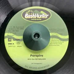 Item thumbnail for item e9c61c8f-c60f-460a-b72b-de3b43cdee03