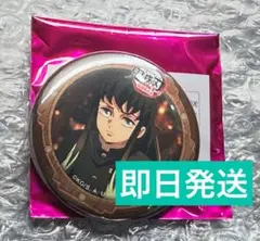 ①鬼滅の刃　時透無一郎　無限城 第二期　ランダム缶バッジ　57mm