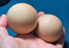 Item thumbnail for item ad7ab6ef-32a4-469a-97ec-f14119fc439f