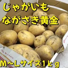 c*a様 A-STYLE 自家栽培 新じゃがいも ながさき黄金　1ｋｇ　1キロ