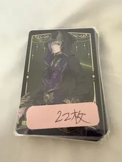 ツイステ ツイステッドワンダーランド シルバー メタカ22枚セット