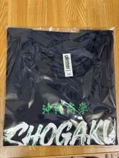 沖縄尚学 甲子園 記念Tシャツ 2枚セット - メルカリ