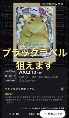 ピカチュウVMAX RRR S8b VMAXクライマックス 046/184