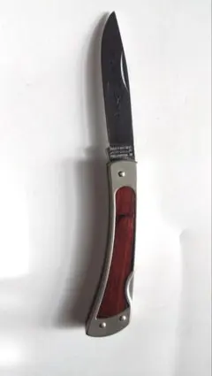 Item thumbnail for item 24058d75-b8c4-477a-be51-c7398784a790