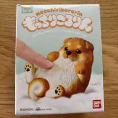 もっちりころりん　おいぬ　柴犬 茶　ころころ豆柴のサムネイル