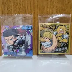 僕のヒーローアカデミア ヒロアカ ウエハース シール セット